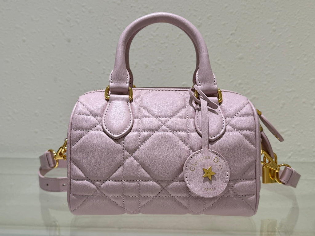Dior 2026 Groove Bag Pink Calfskin Gold Hardware