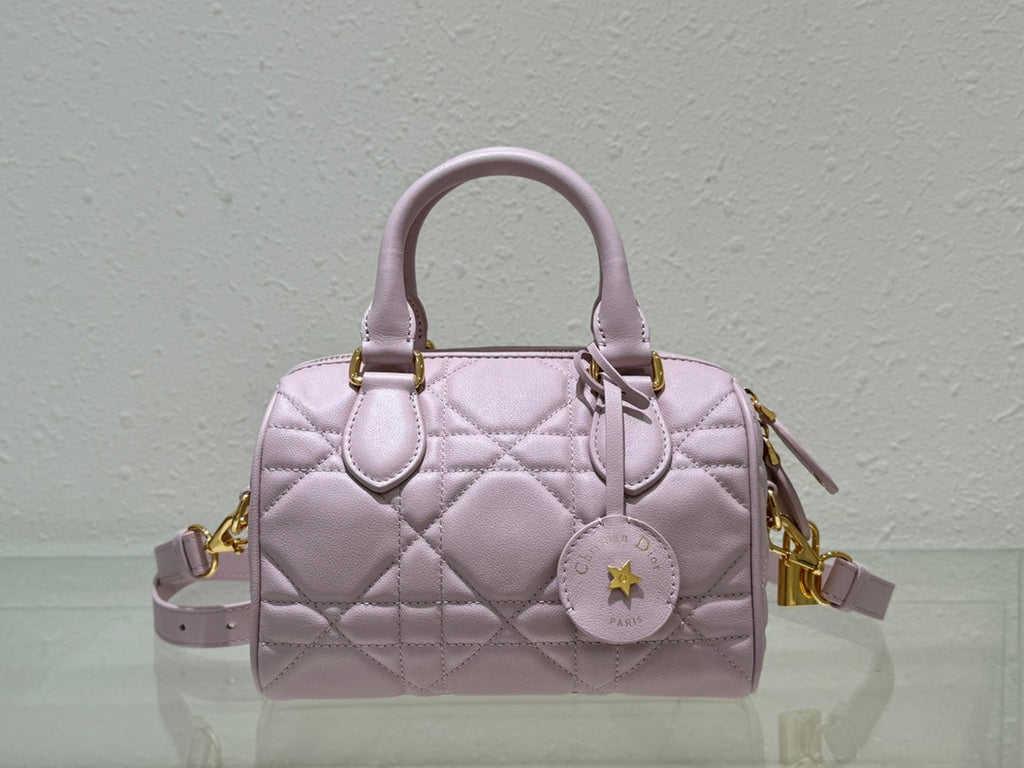 Dior 2026 Groove Bag Pink Calfskin Gold Hardware